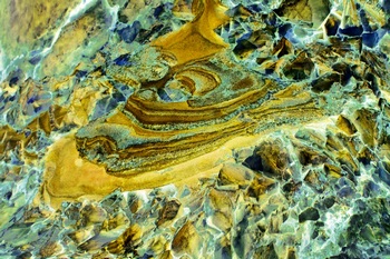 AP 134A1